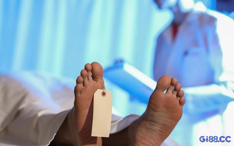 Dự báo của giấc mơ có thể là điềm may hoặc xui tùy bối cảnh