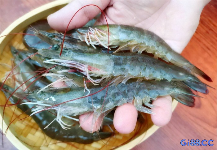Chiêm bao thấy đi mua tôm cho thấy có người đang cố gắng gây rối bạn