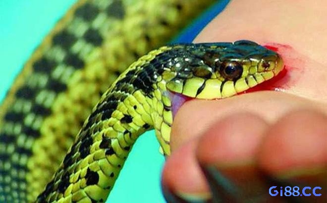 Cố gắng hình dung trải nghiệm mơ để giải mã