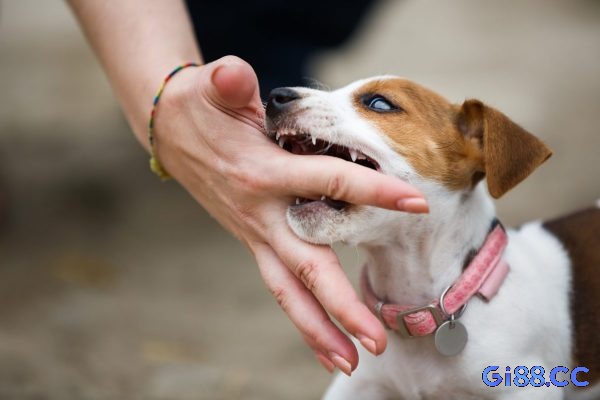 Ghi nhớ điềm báo để chuẩn bị cho tương lai