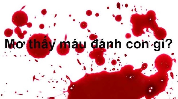 Nằm mơ thấy máu đánh con gì? Ý nghĩa giấc mơ thấy máu