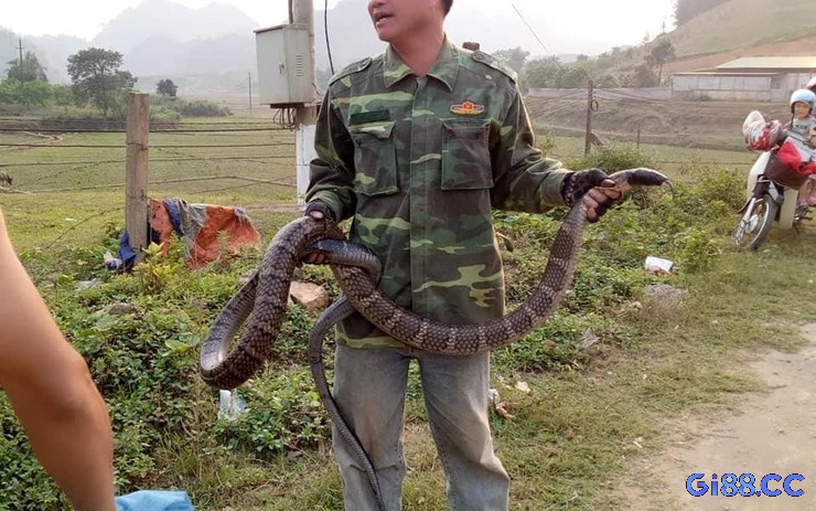 Điềm báo dựa trên từng trải nghiệm chiêm bao