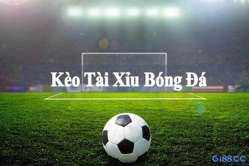 Giải đáp những thắc mắc phổ biến về cách tính tài xỉu bóng đá.