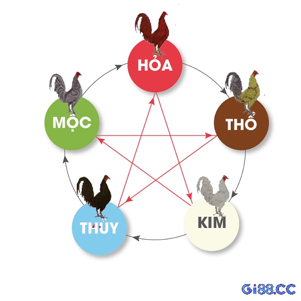 Cách xem ngày đá gà - Chọn ngày có ngũ hành tương sinh hoặc bình hòa với mạng gà để tăng vận khí và khả năng giành chiến thắng