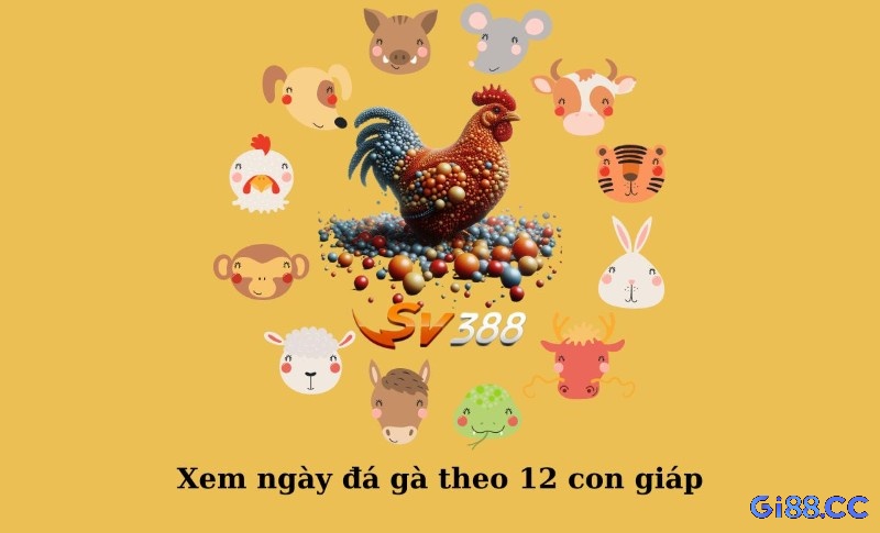 Xác định ngày tam hợp, lục hợp và tránh tứ hành xung để lựa chọn thời điểm đá gà thuận lợi nhất