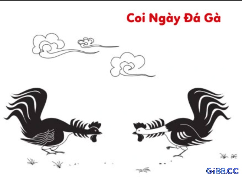 Cách xem ngày đá gà phản ánh niềm tin văn hóa và phong thủy, giúp người chơi chuẩn bị kỹ lưỡng cho chiến kê