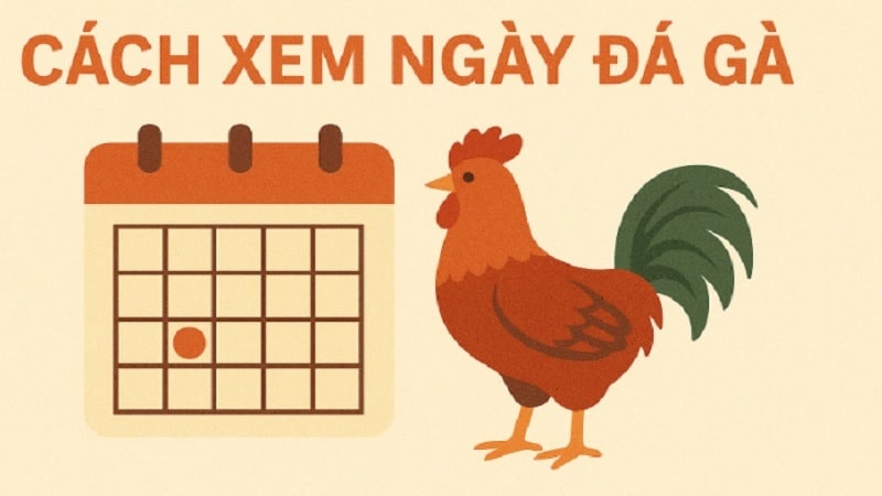 Cách xem ngày đá gà chuẩn theo phong thủy, ngũ hành