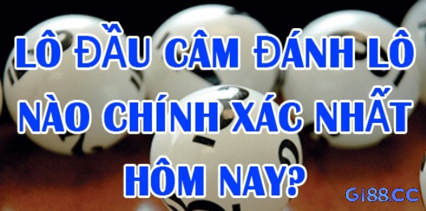 Người chơi có thể kết hợp lô câm với lô kép hoặc lô rơi để tăng thêm cơ hội trúng