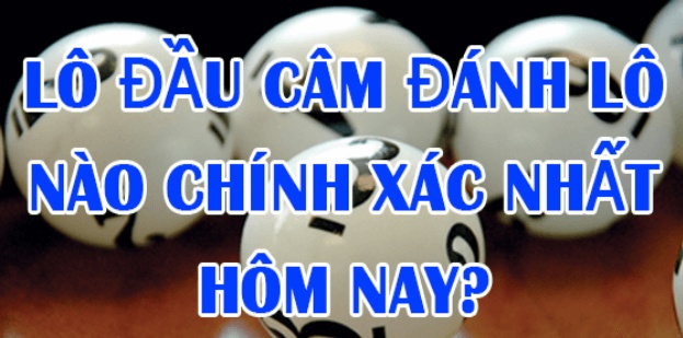 Lô câm hôm sau đánh con gì? Bí quyết chọn số chuẩn xác