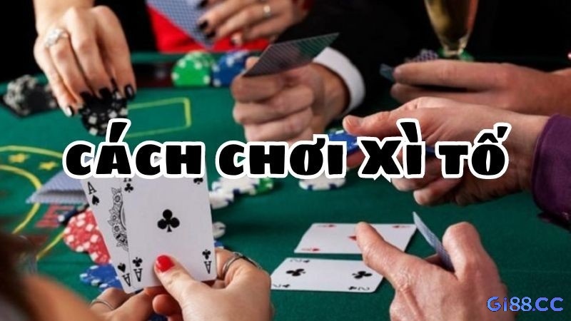 Cách chơi xì tố hay: Bí quyết thắng và quản lý vốn hiệu quả