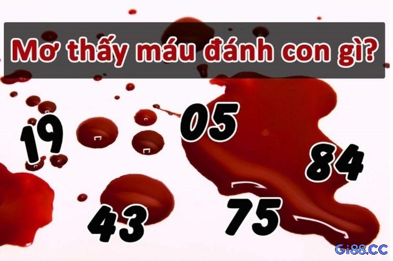 Chiêm bao thấy máu đổ đánh lô số nào? Các con số may mắn