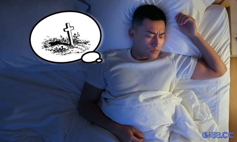 Mo thấy nấm mồ đánh lô đề con gì? Giải mã chi tiết nhất