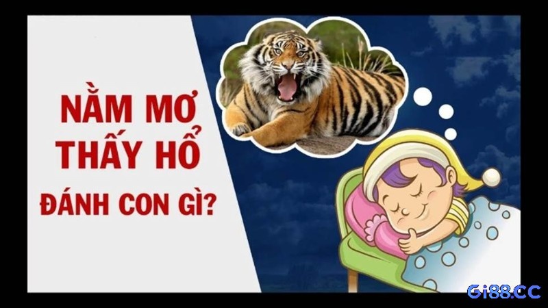 Mơ thấy con hổ đánh con gì giúp đề thủ trúng đậm?