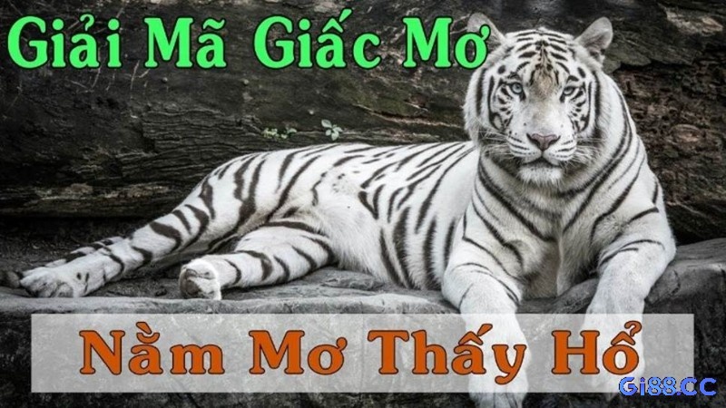 Thông qua giấc mơ thấy hổ để có được điềm báo tương lai