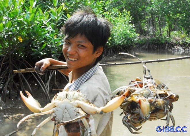 Giải mã giấc mơ bắt cua trong nước đục chính là một lời cảnh báo đừng làm ăn với người lạ